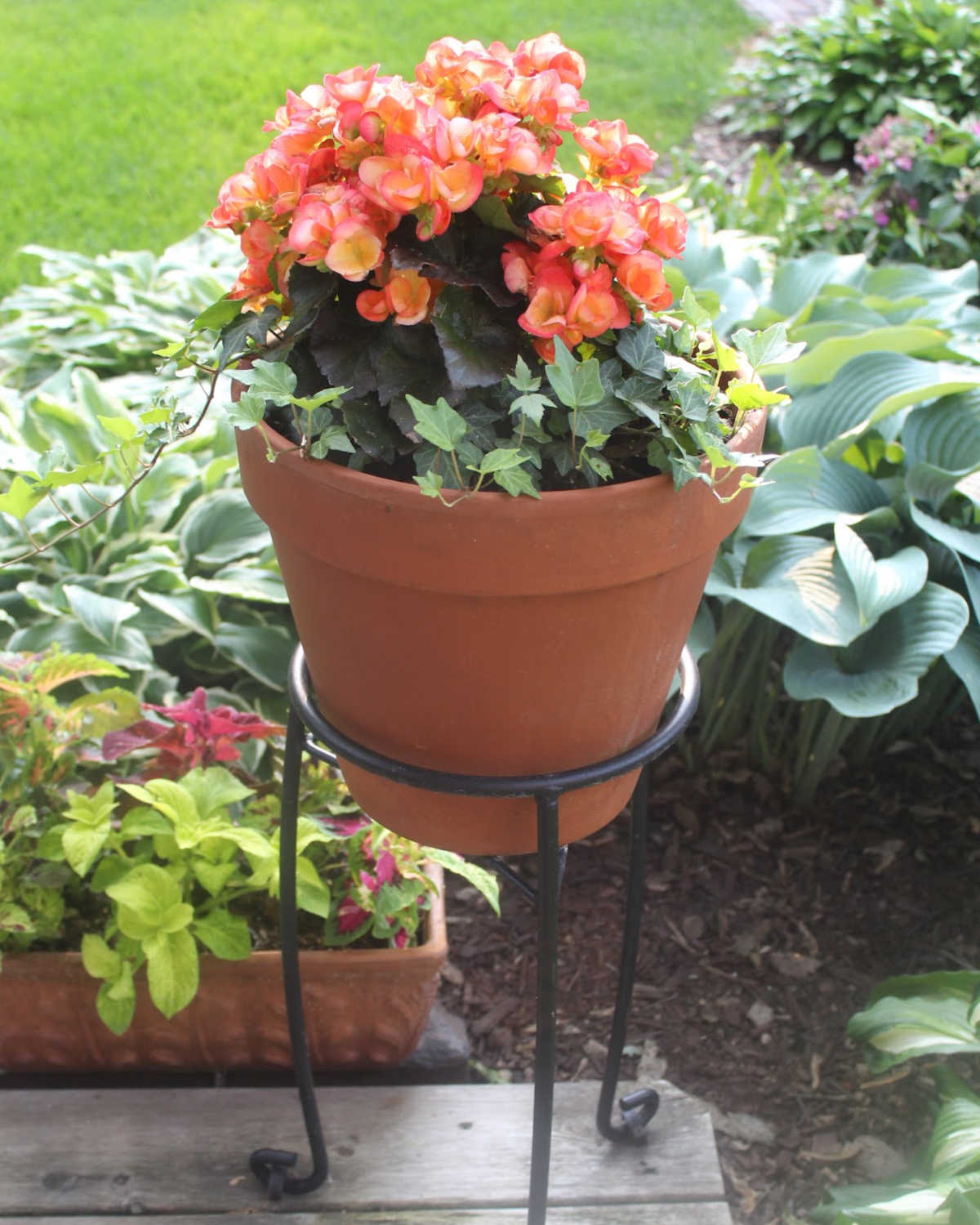 orange flowers in a planter on a stand to make it look taller.
