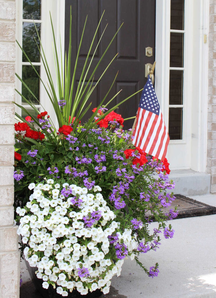 red white and blue planter