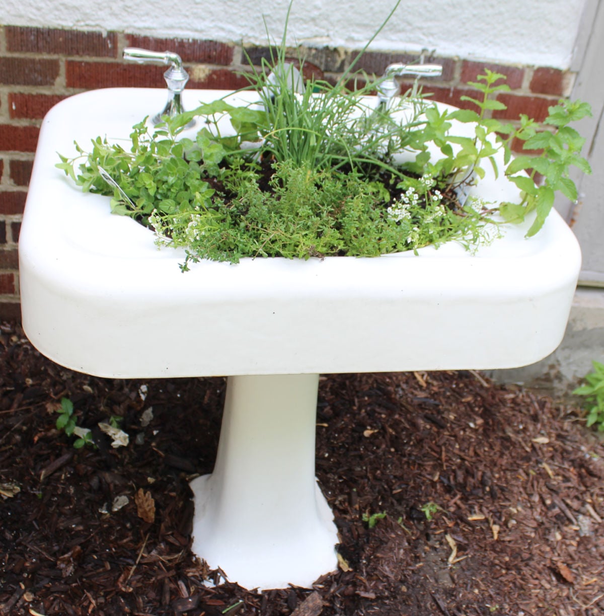 herbs in a vintage sink creating a unique herb garden.
