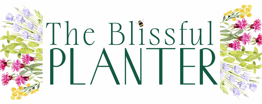 Logo for The Blissful Planter